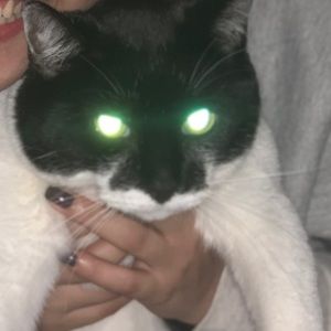 Meet your Posher, Yousra